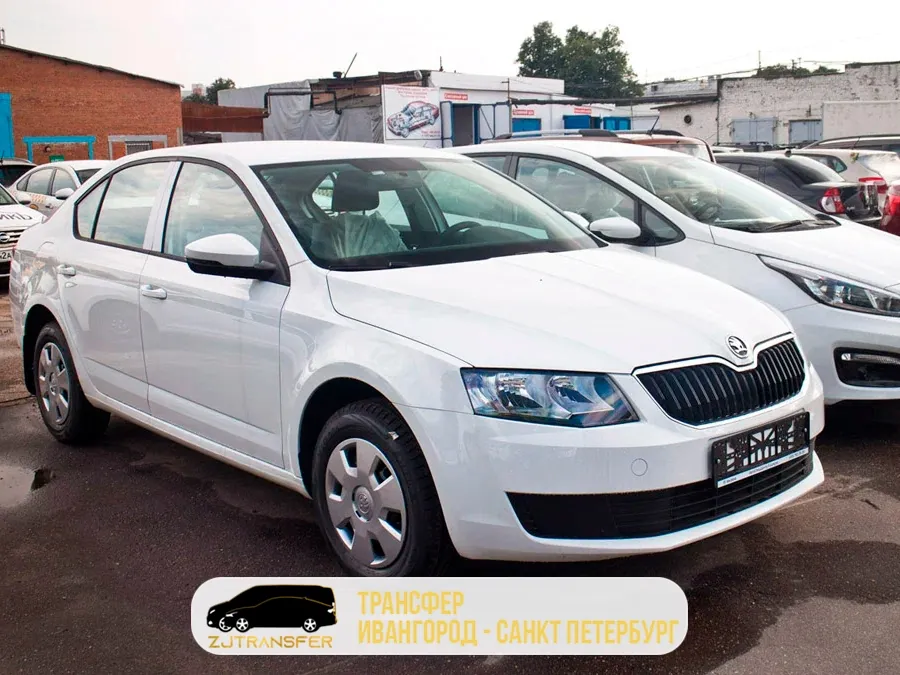 Skoda Octavia из автопарка ZJTransfer